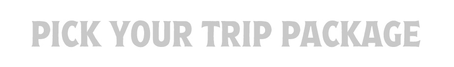 Choose Your Trip Package